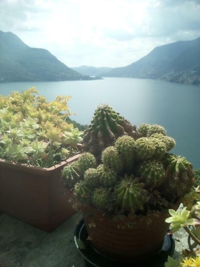 Casa Del Borgo Villa Pognana Lario Luaran gambar